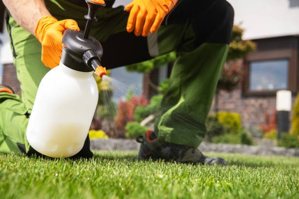 Best Cockroach Control Services  in Lemont, IL