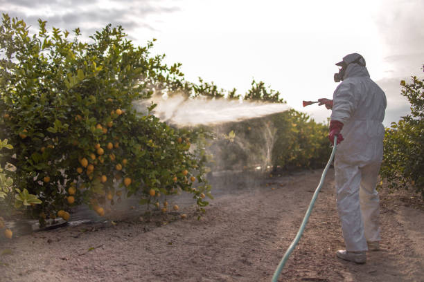 Best Best Pest Control Companies  in Lemont, IL
