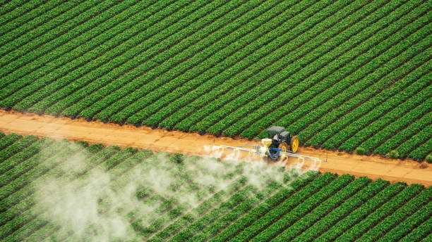 Best Commercial Pest Control Services  in Lemont, IL