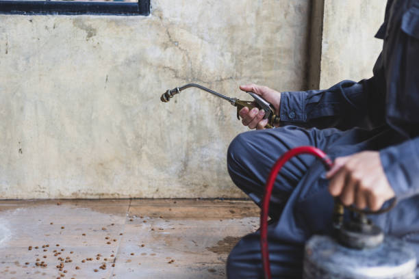 Best Affordable Pest Control Services  in Lemont, IL