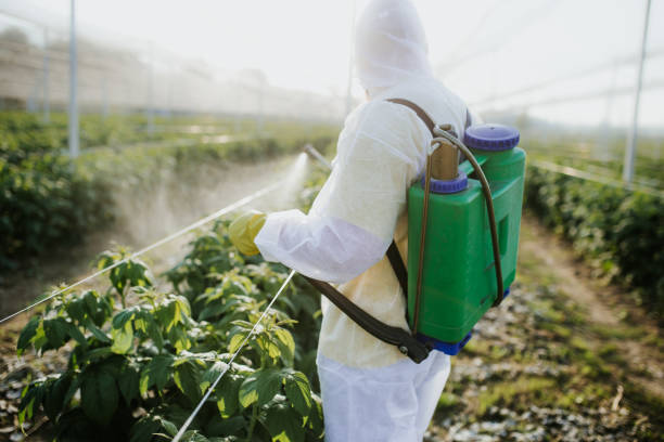 Best Emergency Pest Control  in Lemont, IL